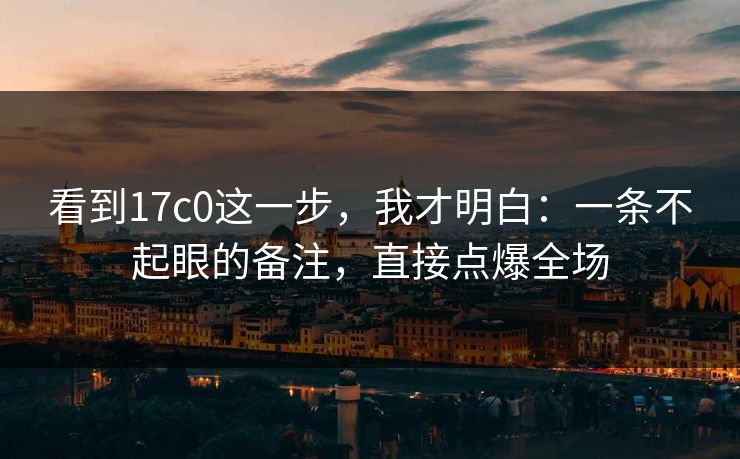 看到17c0这一步,我才明白:一条不起眼的备注,直接点爆全场