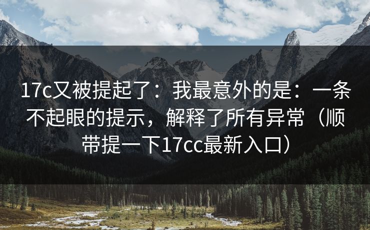17c又被提起了：我最意外的是：一条不起眼的提示，解释了所有异常（顺带提一下17cc最新入口）  第1张