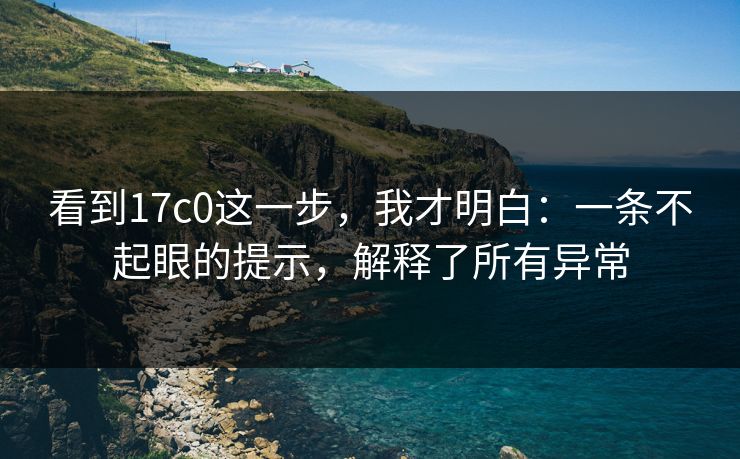 看到17c0这一步,我才明白:一条不起眼的提示,解释了所有异常