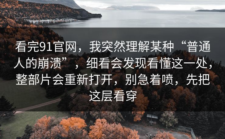 看完91官网，我突然理解某种“普通人的崩溃”，细看会发现看懂这一处，整部片会重新打开，别急着喷，先把这层看穿