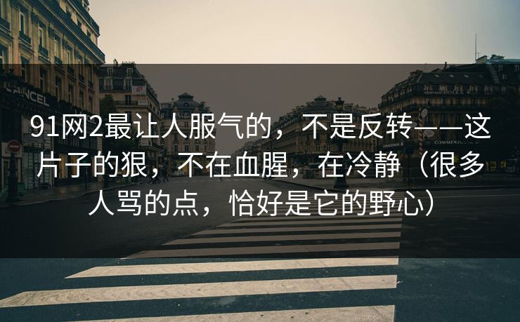91网2最让人服气的，不是反转——这片子的狠，不在血腥，在冷静（很多人骂的点，恰好是它的野心）