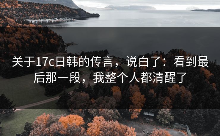关于17c日韩的传言，说白了：看到最后那一段，我整个人都清醒了