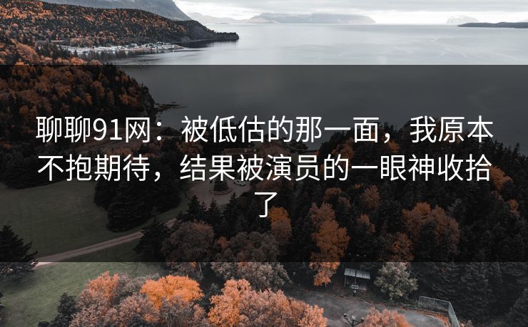 聊聊91网：被低估的那一面，我原本不抱期待，结果被演员的一眼神收拾了